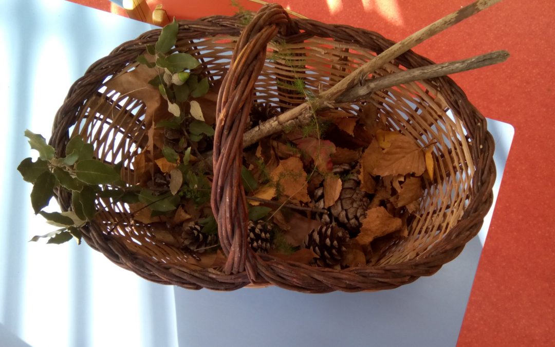 Aires de Tardor a les estances.